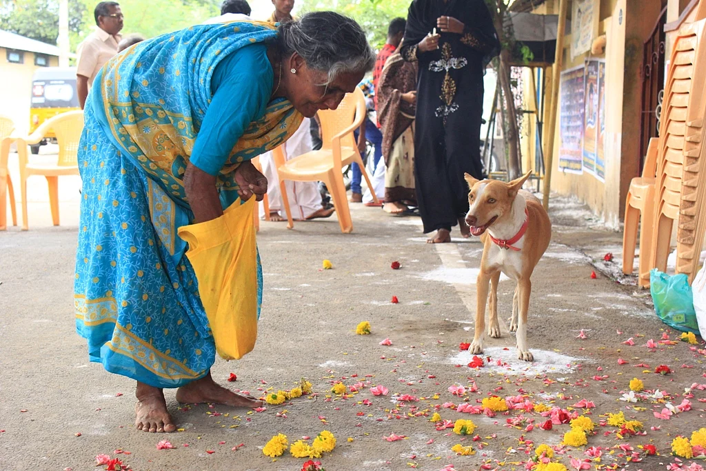 பிள்ளைக்கு அஞ்சலி செலுத்தும் தாய்