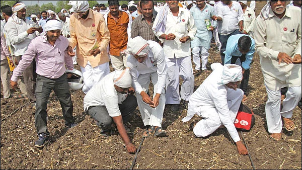 திருட்டுத்தனமாக நுழையும் பி.டி கத்திரி!