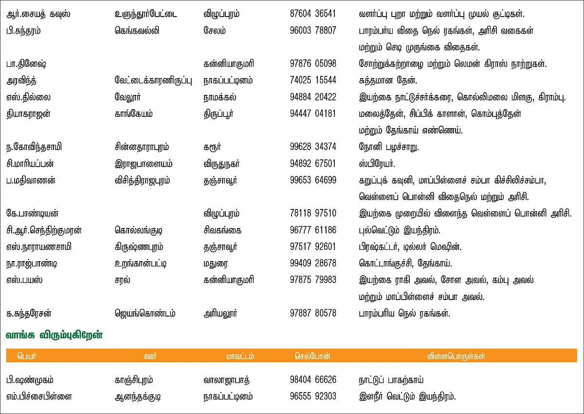 பசுமை சந்தை