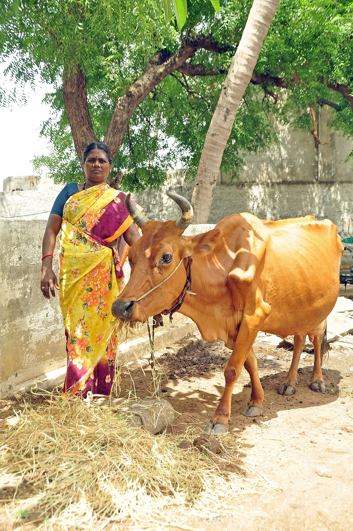 chinnaponnu, dindigul