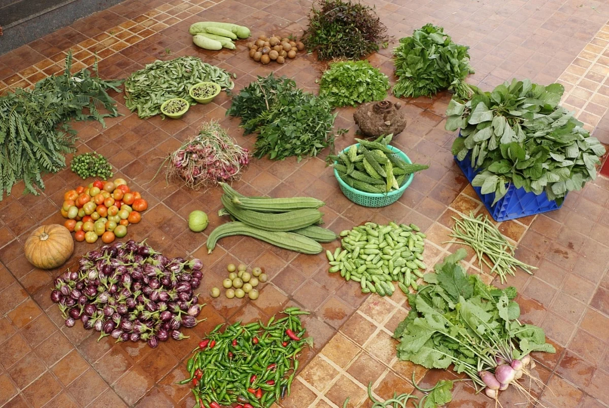 organic vegetables