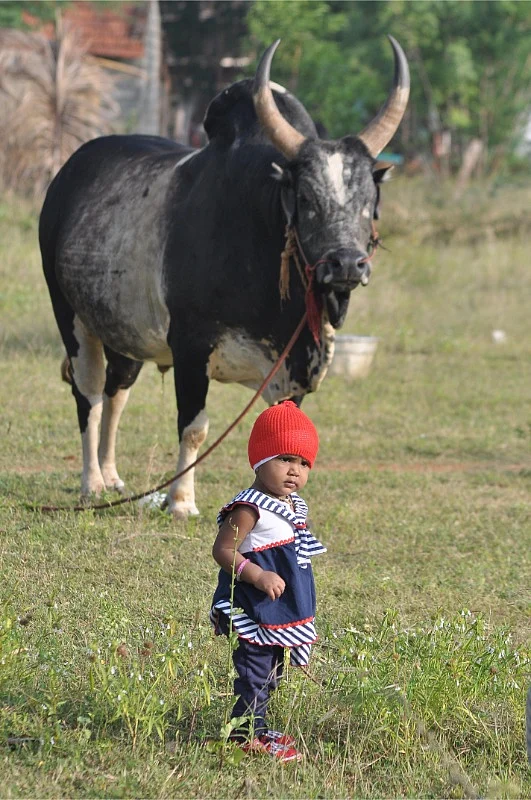 படம் சொல்லும் சேதி - உலகப் புகைப்பட தினம் #VikatanClicks