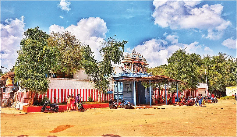 தமிழகம் இன்ஃபோ ஸ்பெஷல் #14 - கடலூர் 200 - இன்ஃபோ புக்