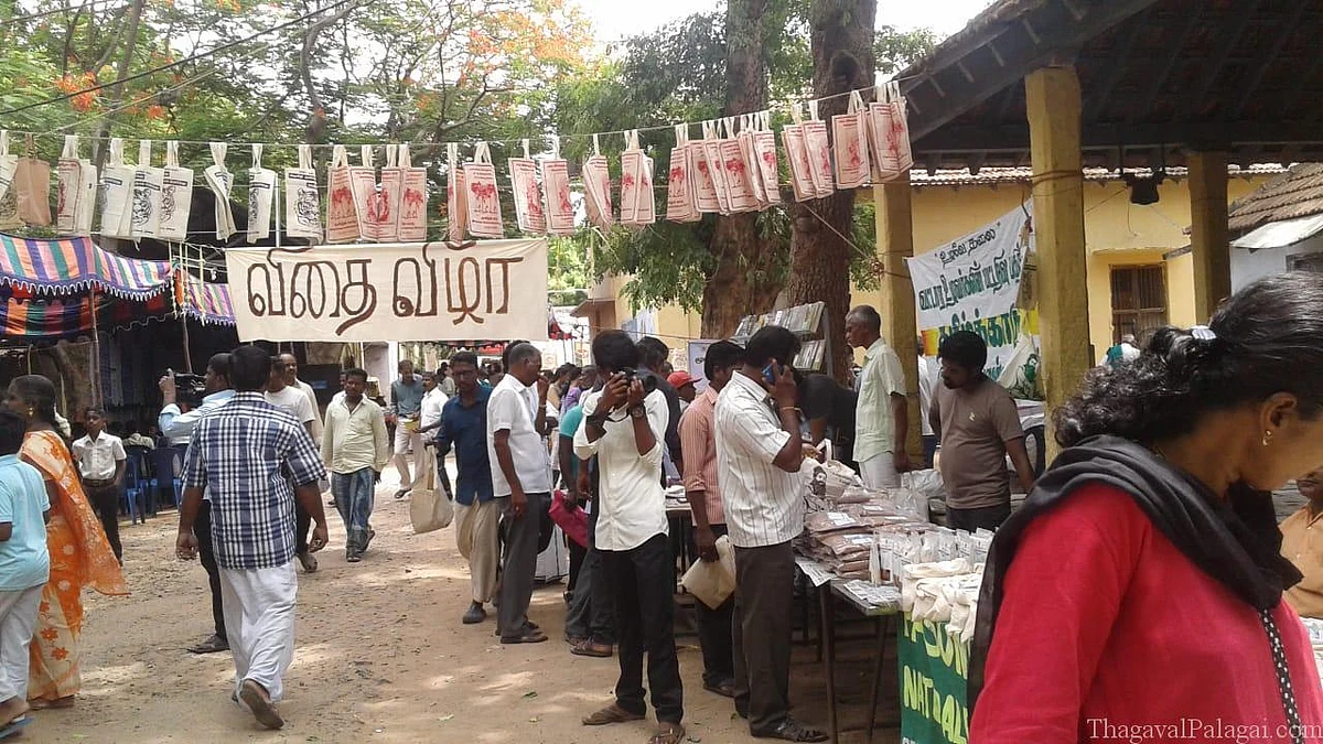 Seeds Festival