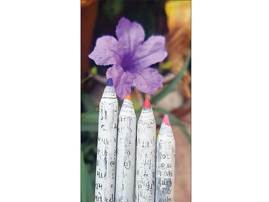 காகிதத்திலிருந்து பென்சில்... சூழல் காக்கும் பெண்ணின் புது முயற்சி! - அக்ஷதா பத்ரண்ணா