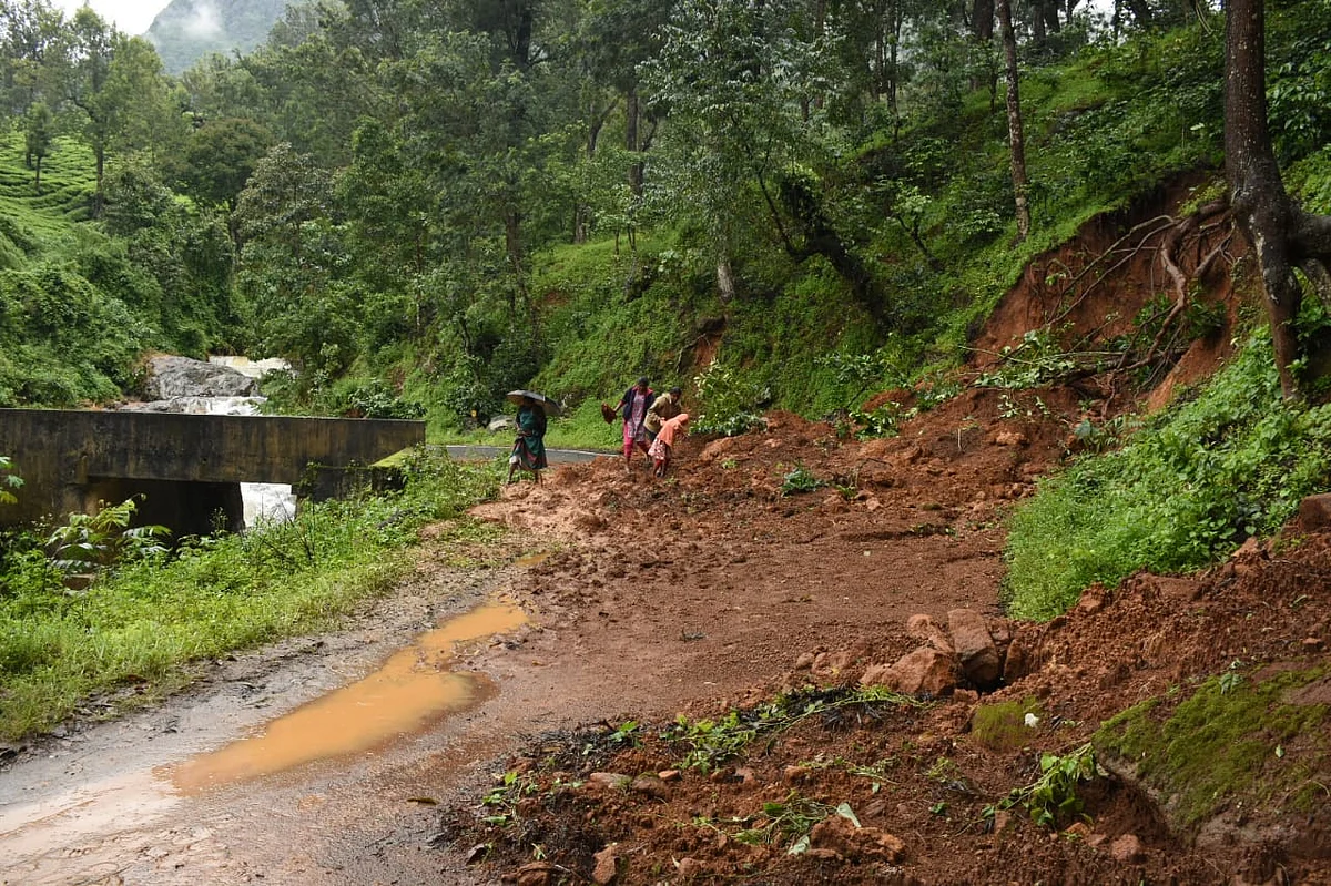 Nilgiri Rain