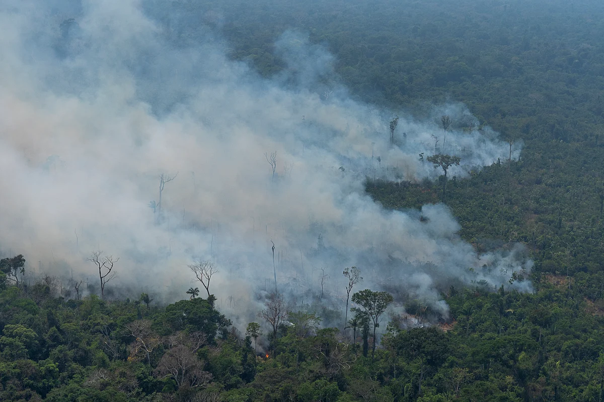Amazon Fires