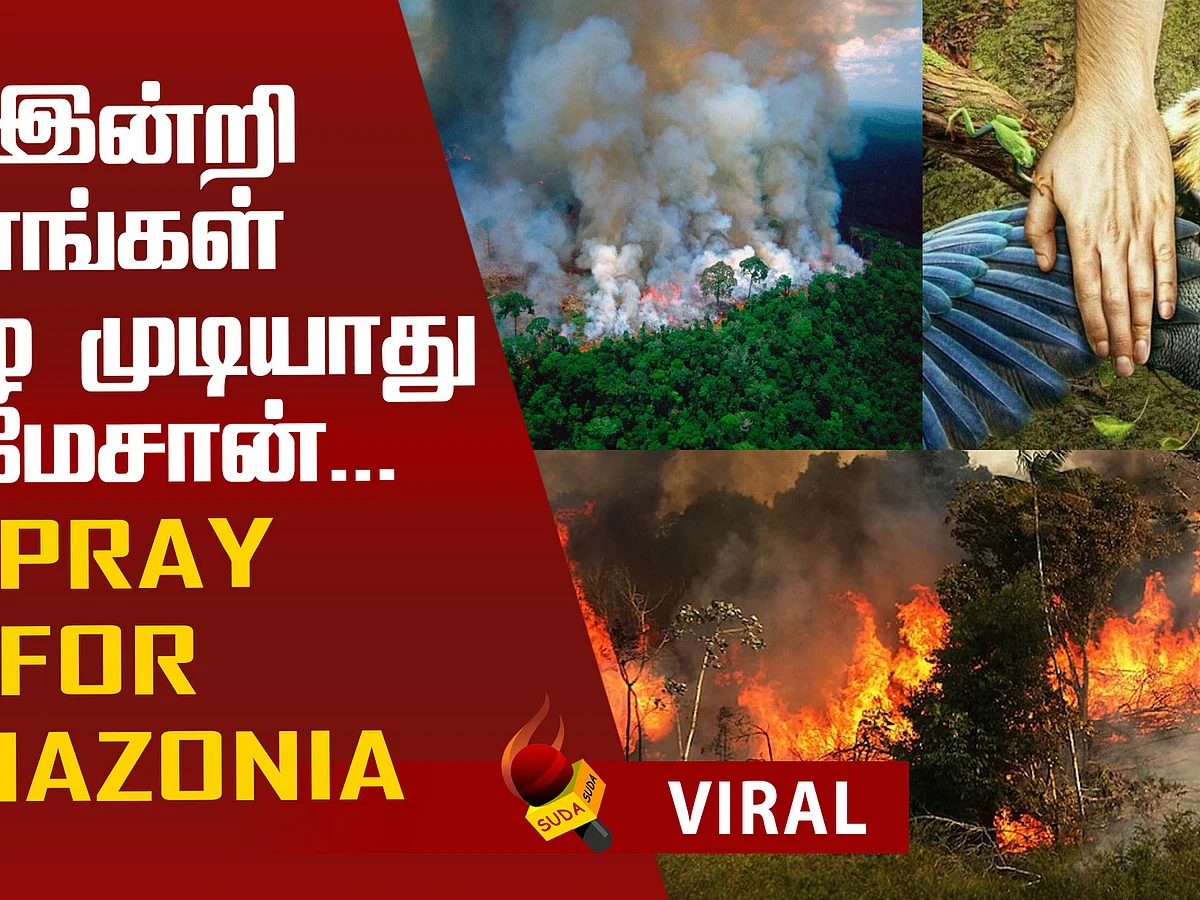 Pray For Amazonia! - Celebrity Tweets #Amazonia #prayforamazonia