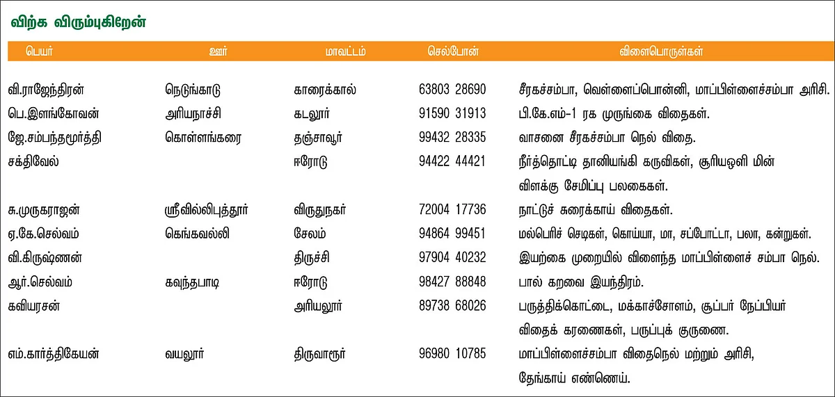 பசுமை சந்தை