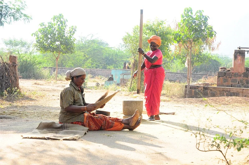 படம் சொல்லும் சேதி - உலகப் புகைப்பட தினம் #VikatanClicks