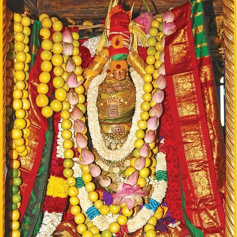 ஆடித் தபசு