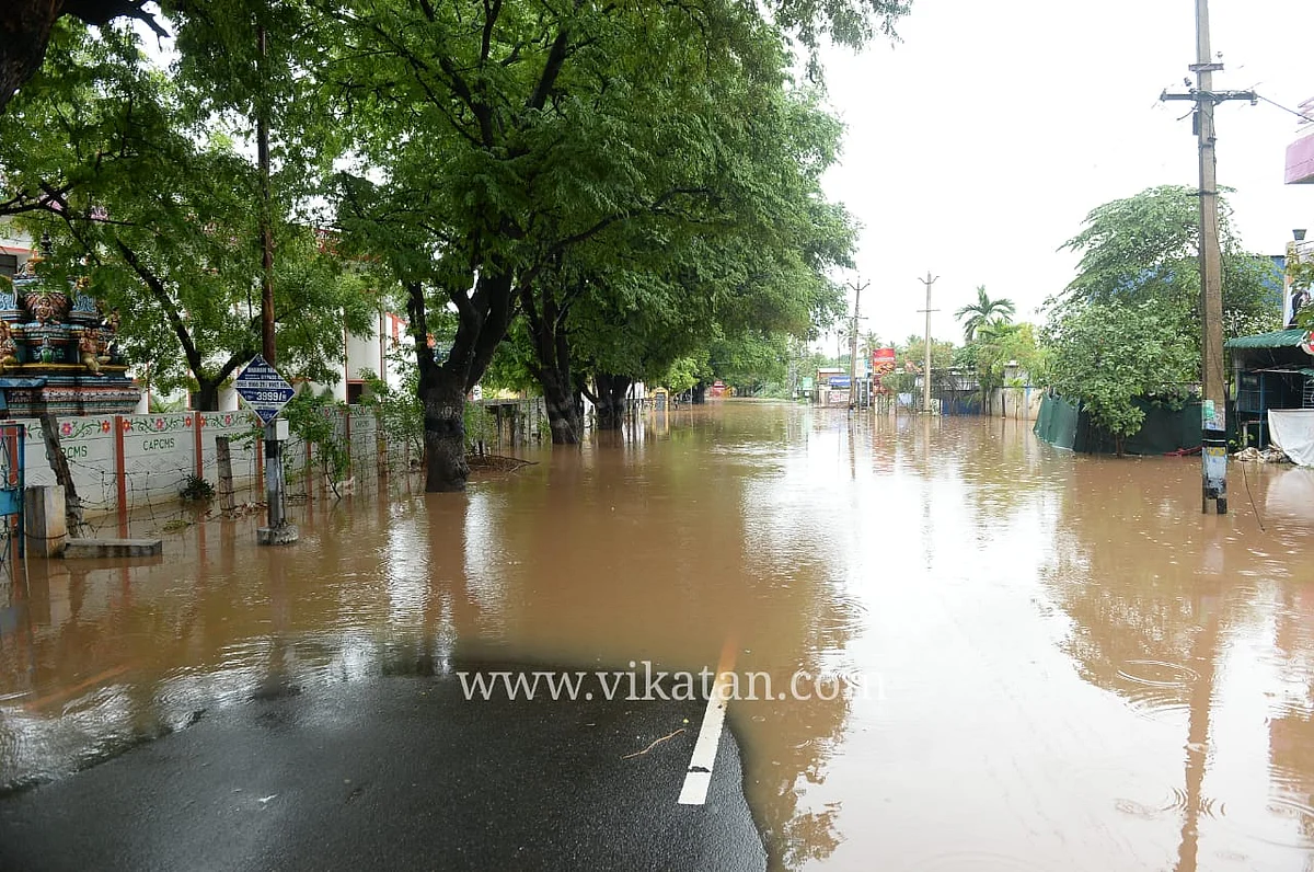 மழை நீர்