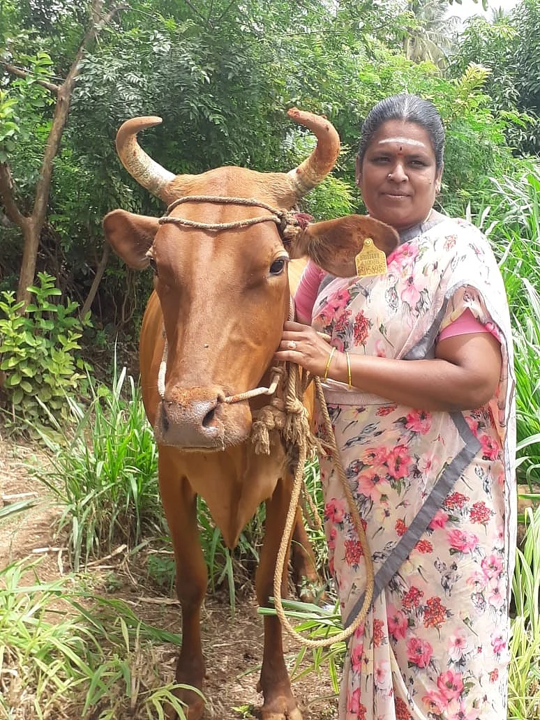 mahalakshmi, kovai
