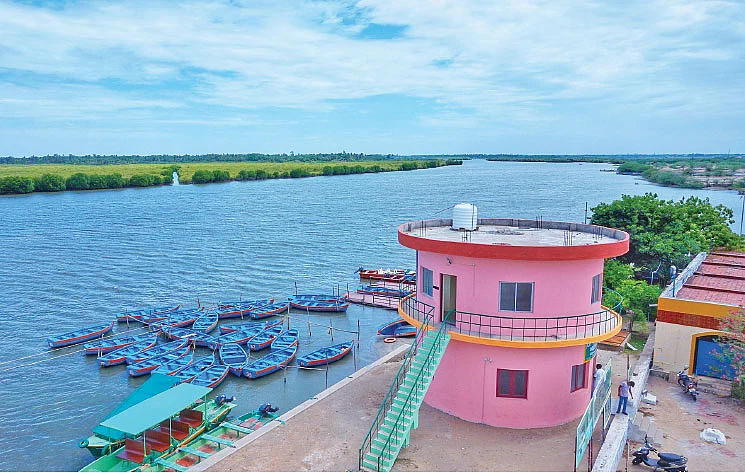 பிச்சாவரம் படகு குழாம்