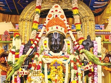நீரில் உள்ள பாக்டீரியாக்கள் அத்திவரதர் சிலையை சேதப்படுத்துமா? - நிபுணர் சொல்வது என்ன?