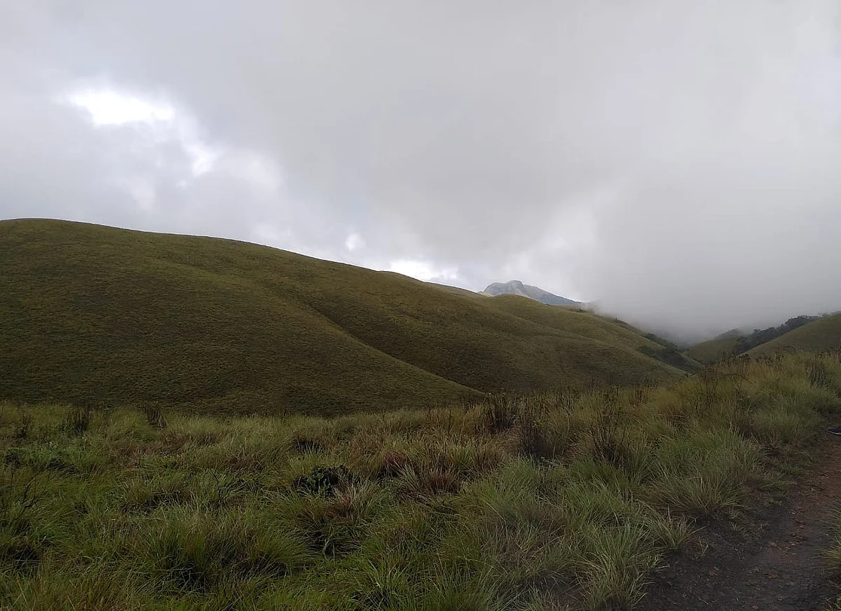 Grasslands of Western Ghats