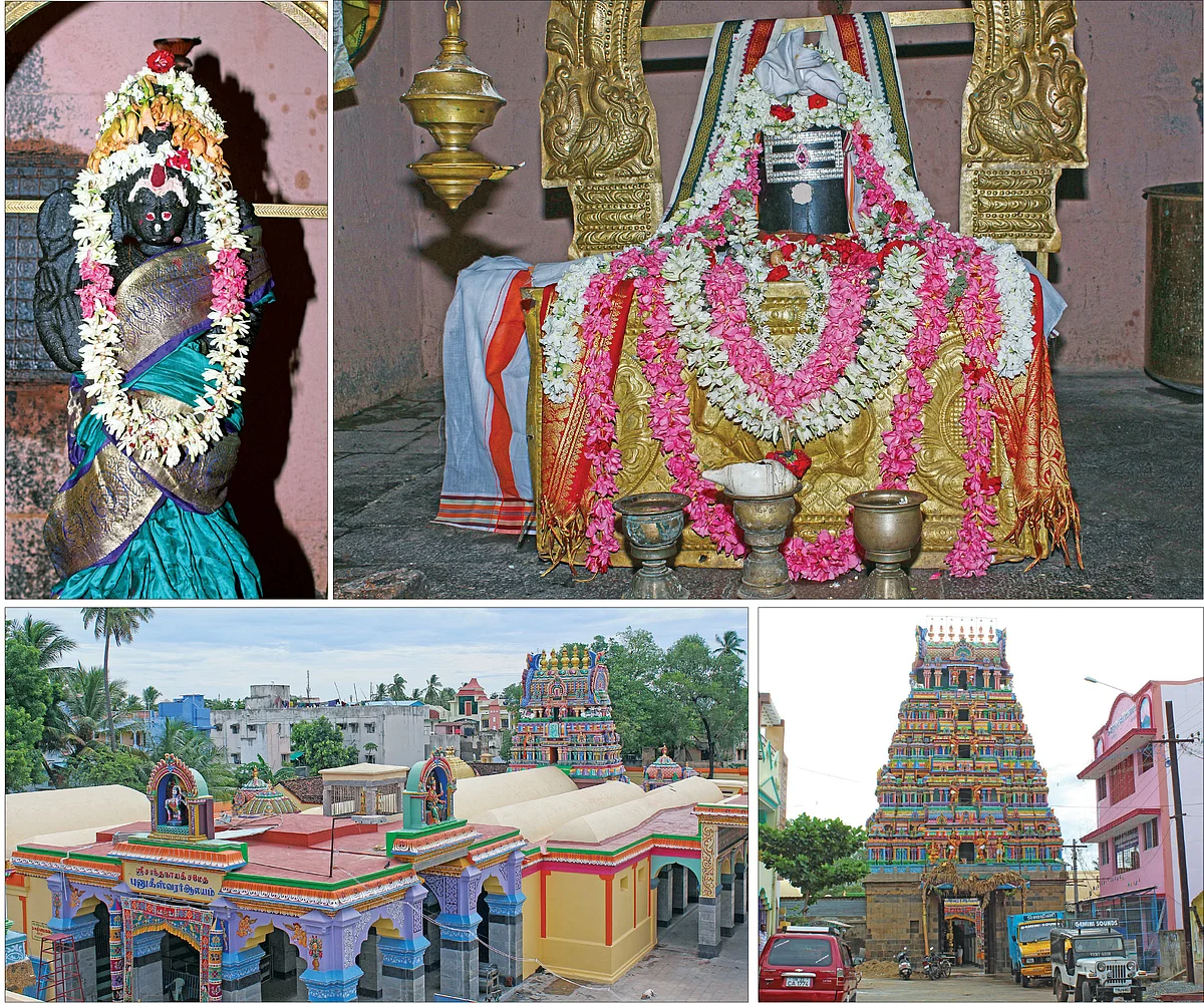 பூனைக்கும் அருள்புரிந்த புனுகீசர்!