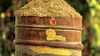வேளாண் வழிகாட்டி