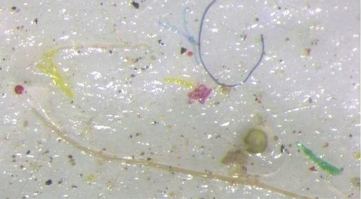 Micro plastic