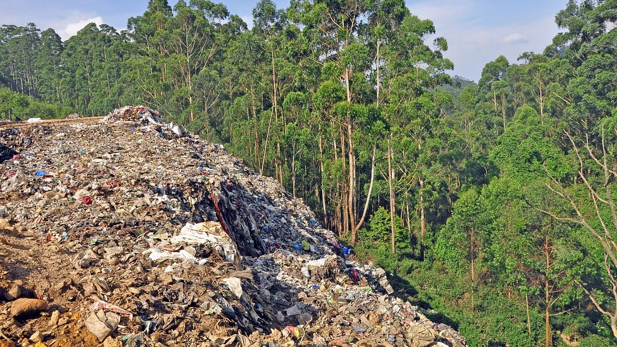 Kodaikanal Hills