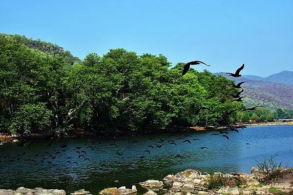 Cauvery River