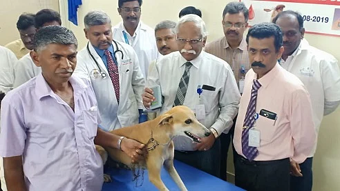 நாய்களுக்கு சிப் பொருத்தும் பணி