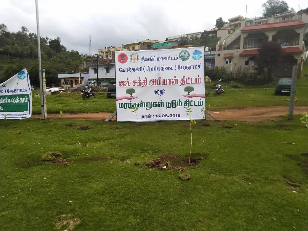 சதுப்பு நிலத்தில் மரக்கன்றுகளை நடவு செய்த ஊழியர்கள்