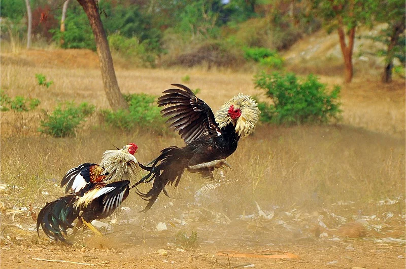 படம் சொல்லும் சேதி - உலகப் புகைப்பட தினம் #VikatanClicks