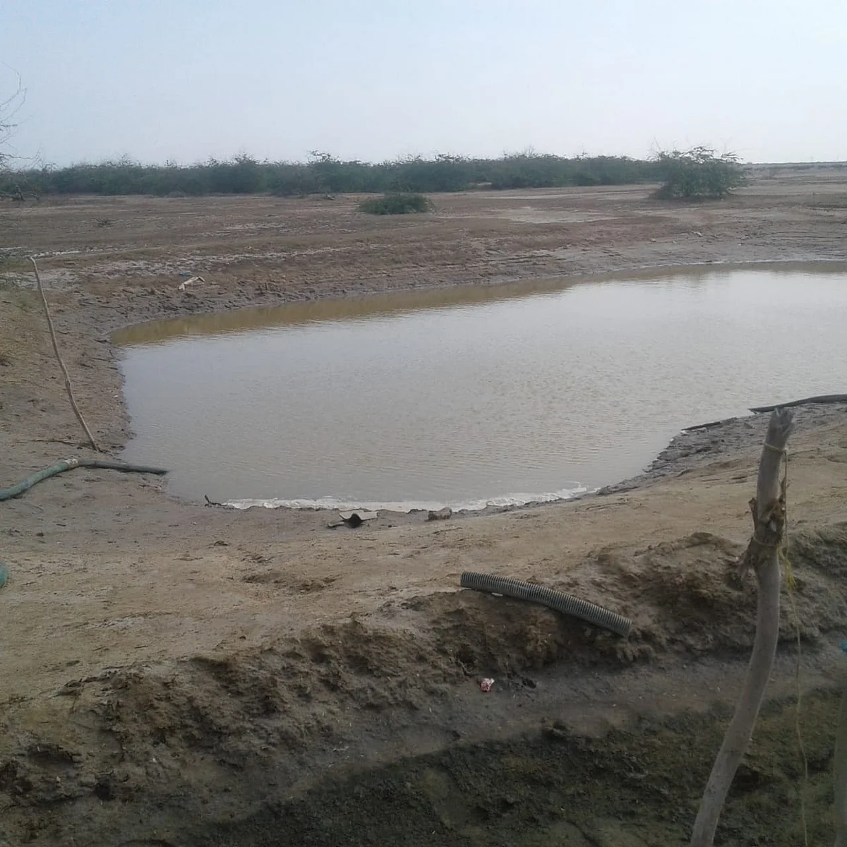 kodiyakarai Search