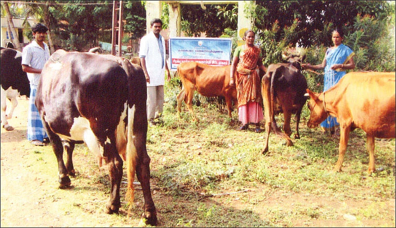 சட்டம்: கால்நடைப் பராமரிப்புத்துறை ஒரு பார்வை!