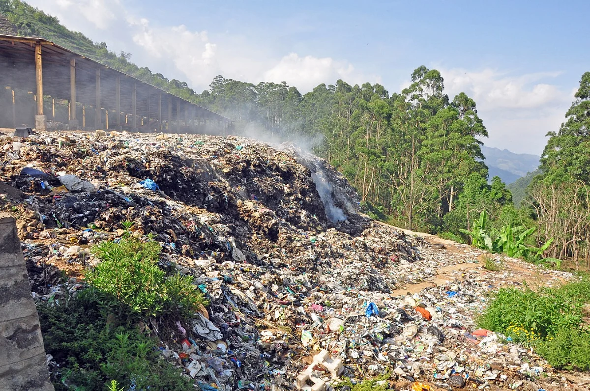 Waste