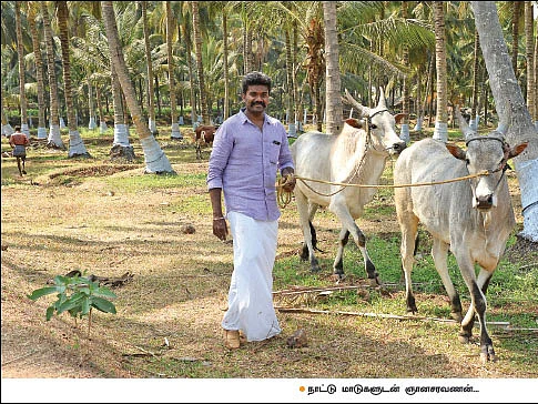 тВ╣ 27 lakhs income per annum... an impressive organic farm in 37 acres!