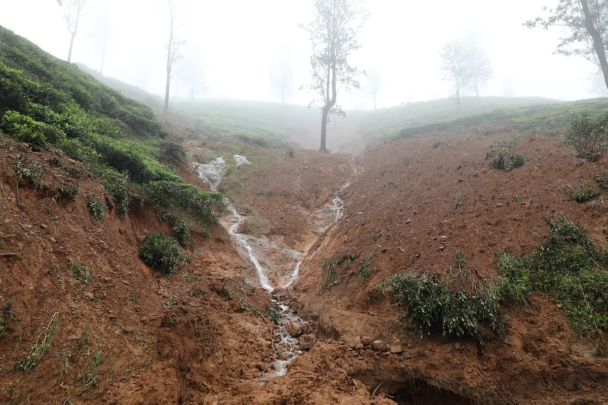 rain fall in Nilgiris