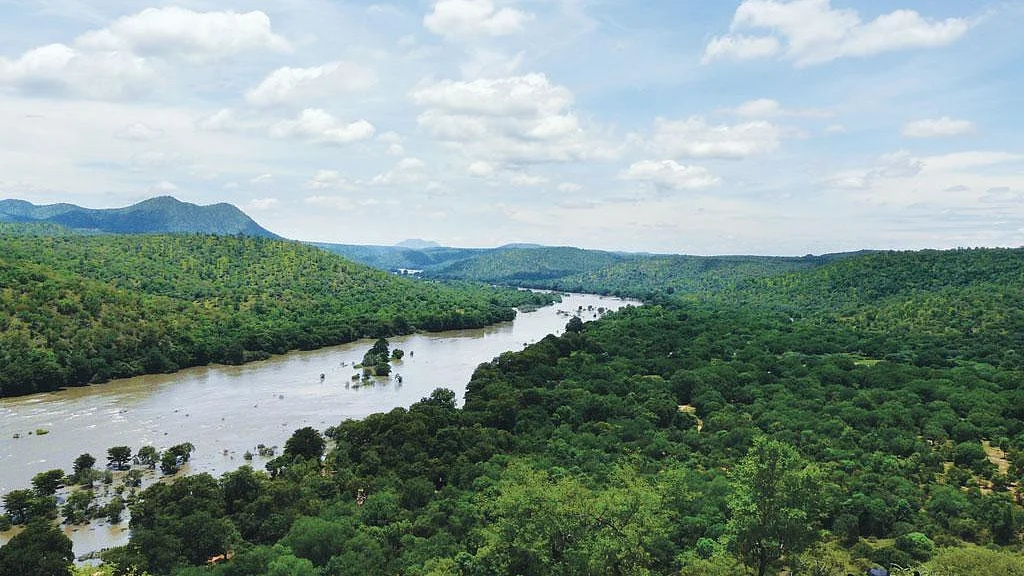 Cauvery