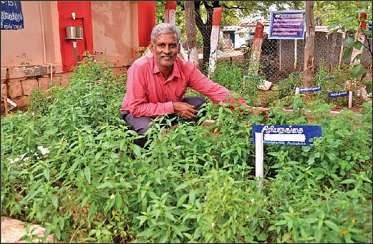 மூலிகைச் செடிகளுடன் ஸ்ரீதர் ராவ்