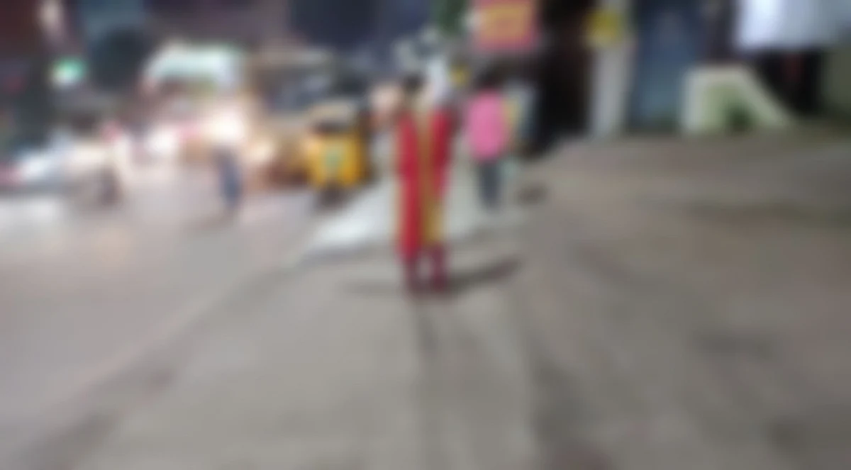 பாலியல் தொழில்