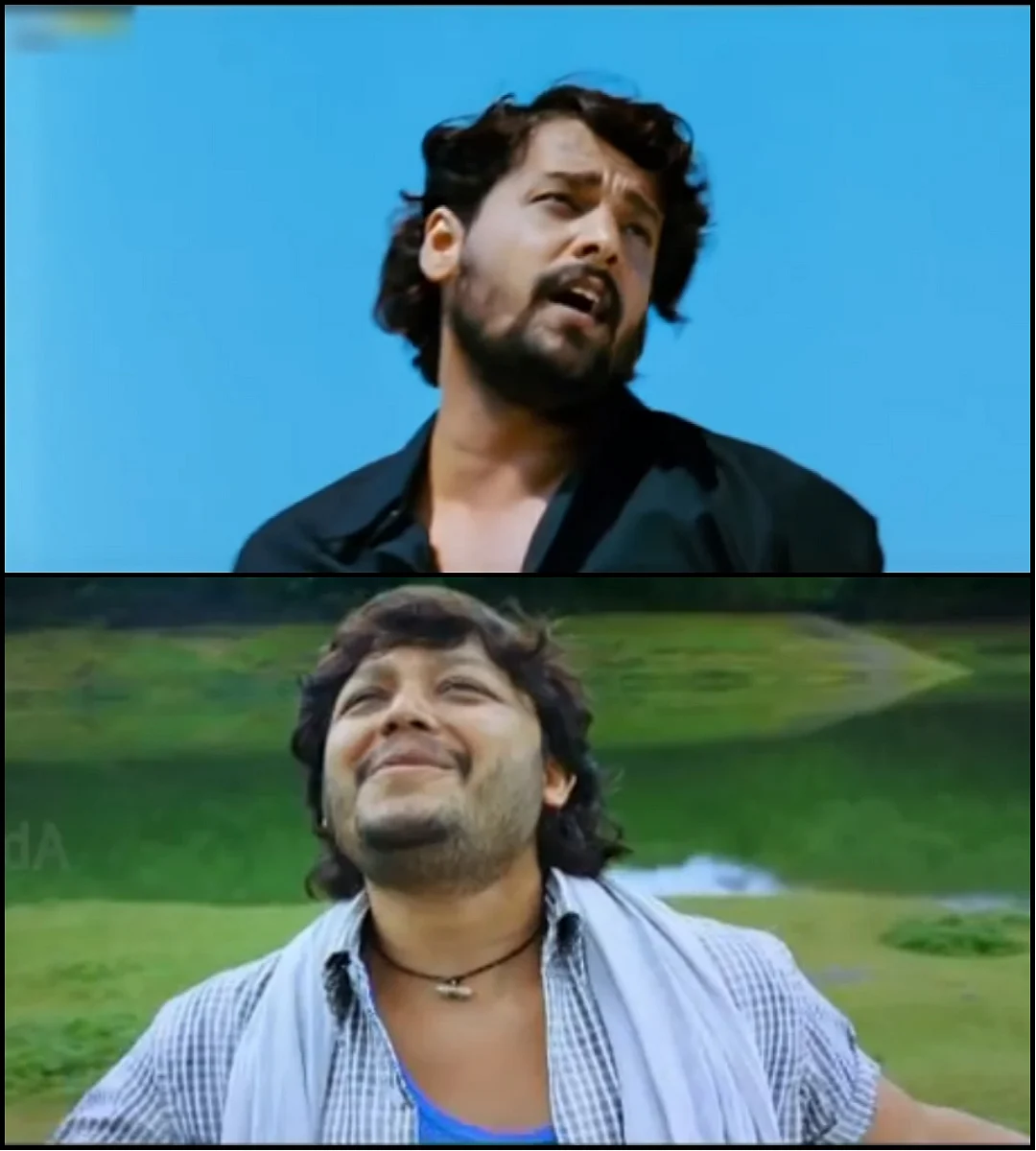 மைனா - சைலு