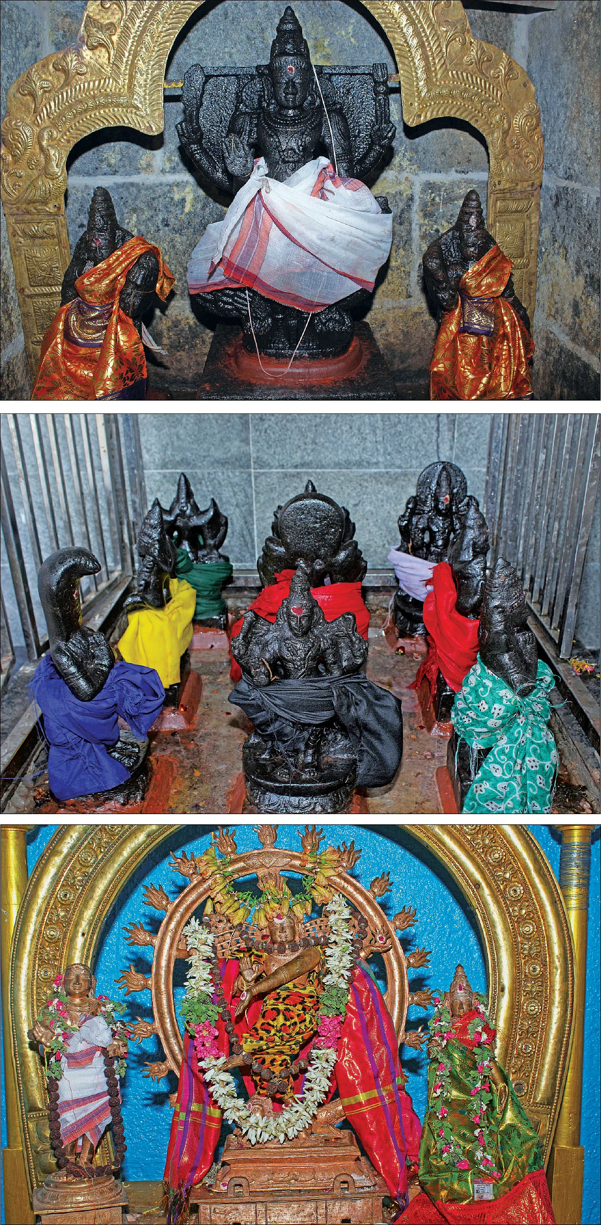 பூனைக்கும் அருள்புரிந்த புனுகீசர்!
