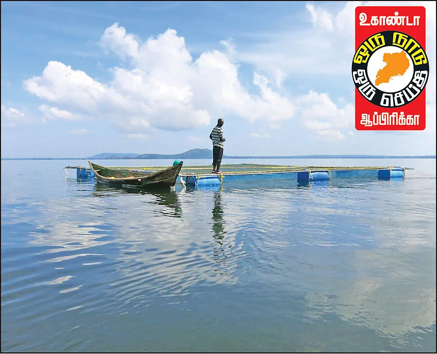 ஒரு நாடு ஒரு செய்தி - ஆப்பிரிக்கா