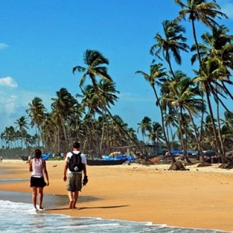 கோவா