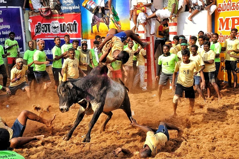 படம் சொல்லும் சேதி - உலகப் புகைப்பட தினம் #VikatanClicks