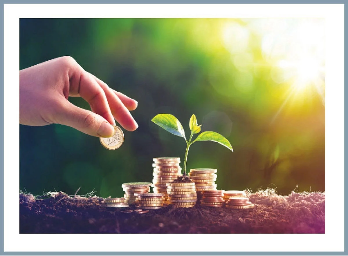 mutual fund
