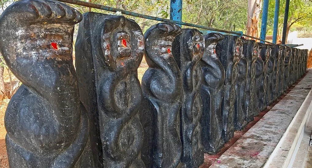 நாக சதுர்த்தி