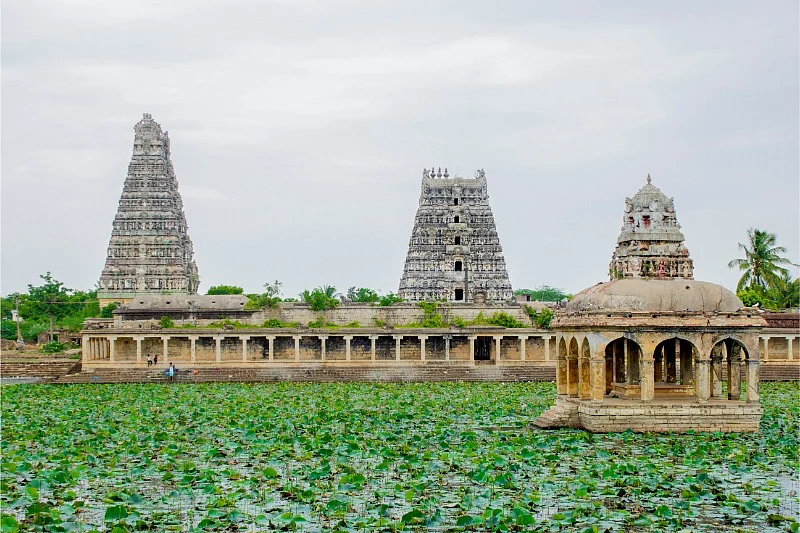 படம் சொல்லும் சேதி - உலகப் புகைப்பட தினம் #VikatanClicks
