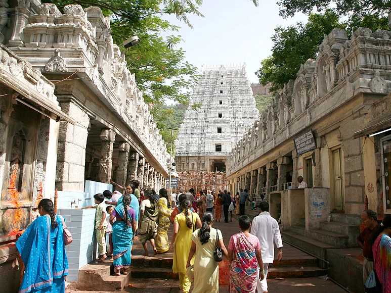 திருப்பதி திருமலையில் இரவில் உலவும் வனவிலங்குகள்... அபூர்வ புகைப்படங்கள் வெளியீடு!