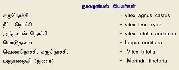 நல்மருந்து 2.0 - வாத நோயைத் தீர்க்கும் நொச்சி... பொடுகு நீக்கும் பொடுதலை!