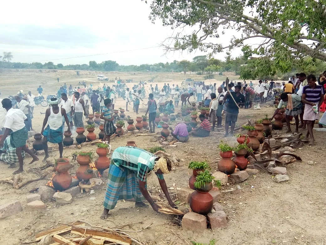 ``98 கிடா, 602 நாட்டுக்கோழி!" - இரவு 11 மணி வரை நடந்த மேலூர் கறி விருந்து!