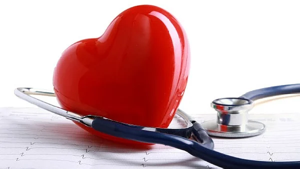 Heart
