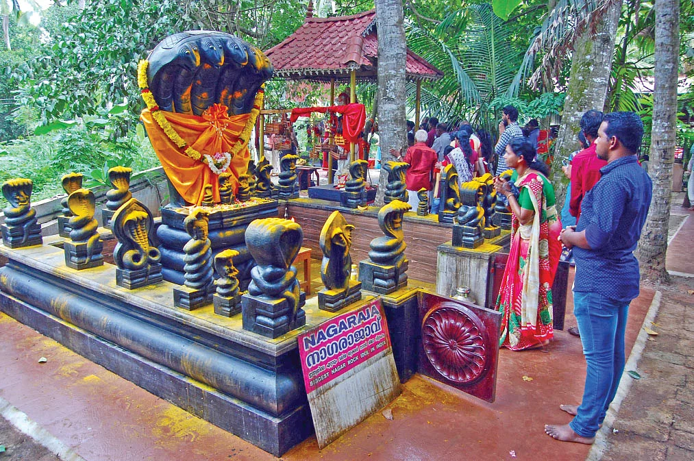 பெளர்ணமி காவு