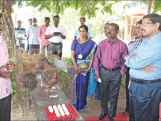 பண்ணைப் பள்ளி… செயல் விளக்கப் பயிற்சி… தொலைபேசி மூலம் ஆலோசனை…